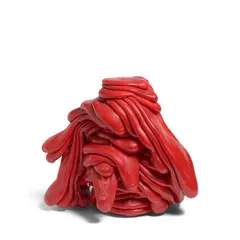Roxy Paine, Scumak (P2-82-R21), low density polyethylene