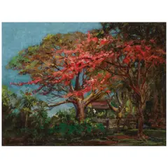 Royal Poinciana Trees in Bloom by D. Howard Hitchcock, oil on canvas laid to board, offered Jul 2026