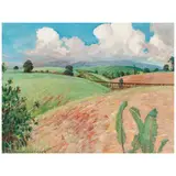 D. Howard Hitchcock, Canefields, Big Island