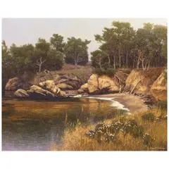Dennis M. Doheny, Whaler's Cove, Point Lobos, 2009, oil on linen