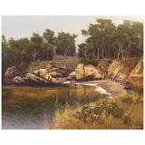 Dennis M. Doheny, Whaler's Cove, Point Lobos