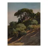 William S. Rice, Hillside Near Mills College - Afternoon Shadows, 1912, watercolor on paper