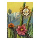 Paul Grimm, Cactus Flower, oil on canvasboard