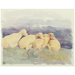 Kermit Oliver, Four Sheep in Lavender Light, 1981, watercolor, gouache and pencil on illustration board