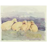 Kermit Oliver, Four Sheep in Lavender Light, 1981, watercolor, gouache and pencil on illustration board