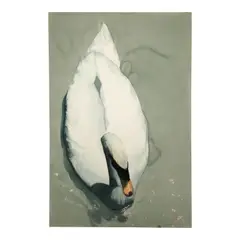 Untitled (Swan from Above) by William G. Garbe, watercolor and pencil on paper, offered Feb 2026
