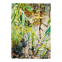 Wild Iris by John Bayalis, watercolor and pencil on paper, offered Feb 2026