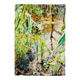 John Bayalis, Wild Iris, watercolor and pencil on paper