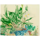 Karen Anne Klein, Orchids, 1980, watercolor on paper