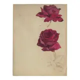 Martin Johnson Heade, Two Roses, circa 1865-75, oil on board