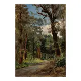 D. Howard Hitchcock, Forest Road, Hilo