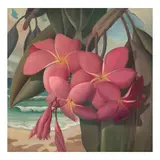 Lloyd Sexton, Jr., Hilo Plumeria, circa 1930, oil on canvas