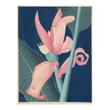 Shirley Ximena Hopper Russell, Banana Flower, c. 1935, Woodcut in colors on wove paper