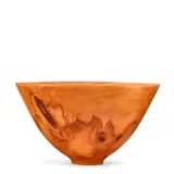 Syd Vierra, Vessel, 2003, Norfolk pine