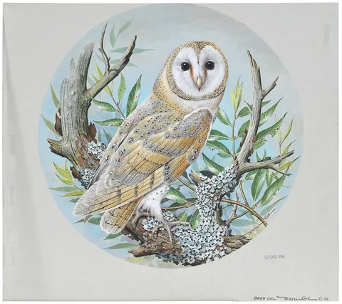 Basil Ede, Barn Owl, 1981, gouache on cardstock