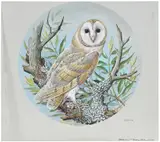 Basil Ede, Barn Owl