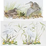 Basil Ede, Pair of Avian Illustrations