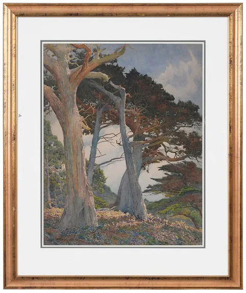 Gunnar Widforss, Monterey Cypress, 1926, watercolor on board
