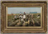 Harry Roseland, Working in the Field