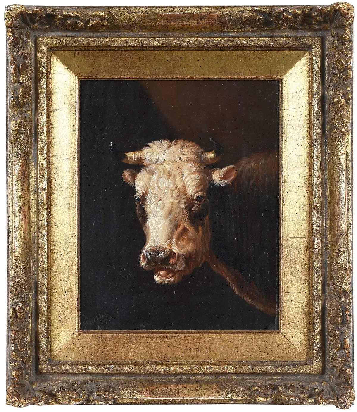 Albertus Verhoesen, Cow's Head, 1878, oil on panel