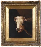 Albertus Verhoesen, Cow's Head
