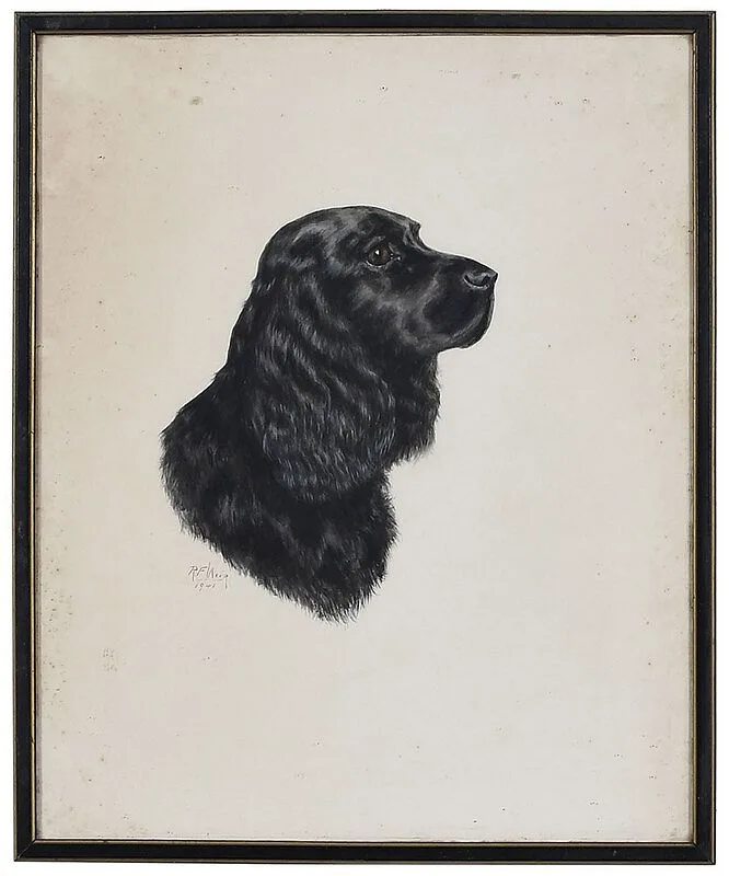 Robert F. Weir, Retriever Pup, watercolor on board