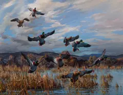 Harry Adamson, Greenheads Flighting In, oil on canvas