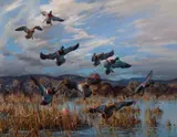 Harry Adamson, Greenheads Flighting In