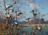 Harry Adamson, Autumn Reverie – Greenheads