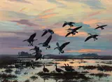 Harry Adamson, Marsh at Sunset