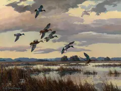 Harry Adamson, Mallards Dropping In, oil on board