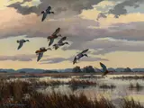 Harry Adamson, Mallards Dropping In