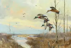 George Browne, Flooded Land, oil on canvas