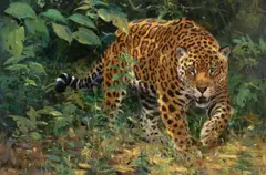 Ken Carlson, Jaguar, oil on board