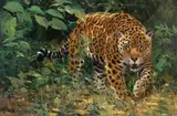 Ken Carlson, Jaguar, oil on board