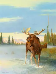 Douglas Allen, High Country Moose, 1978, oil on board