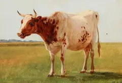 Andreas Peter Madsen, Scenery with a cow on a field, 1881, Oil on canvas laid on cardboard