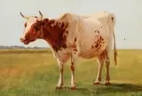 Andreas Peter Madsen, Scenery with a cow on a field, 1881, Oil on canvas laid on cardboard