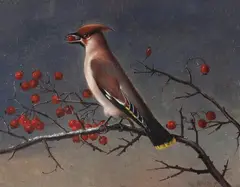 Johan Laurentz Jensen, A Bullfinch Eating Rowan Berries, Oil on panel