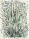 Vappu Heiska, Plants, mixed media on paper