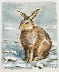 Eero von Boehm, Rabbit, mixed media on paper