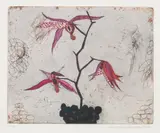 Kirsi Neuvonen, Untitled, etching on paper