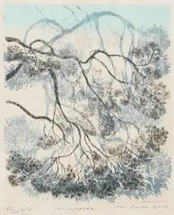 Inari Krohn, Männynoksia, graphics on paper
