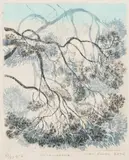 Inari Krohn, Männynoksia, graphics on paper
