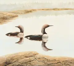 Reima Nurmikko, Kuikkalampi, oil on canvas