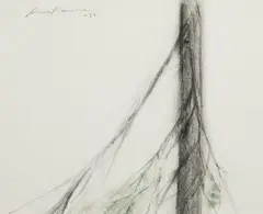 Aimo Kanerva, A spruce, mixed media on paper