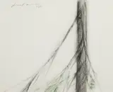 Aimo Kanerva, A spruce, mixed media on paper