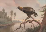 Johan Jakob Reinberg, Eagle, oil