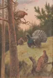 Johan Jakob Reinberg, Grouse, oil