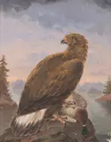 Johan Jakob Reinberg, Eagle